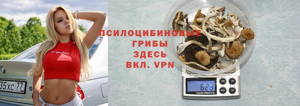 шишки Баксан